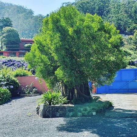 Casa El Porte Tegueste Kültér fotó